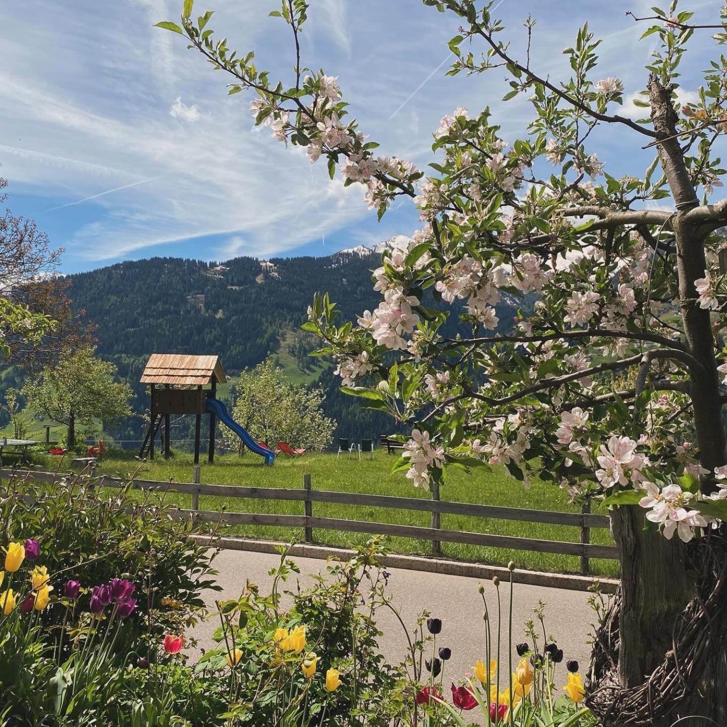 Hotel Alpenland Moso Zewnętrze zdjęcie